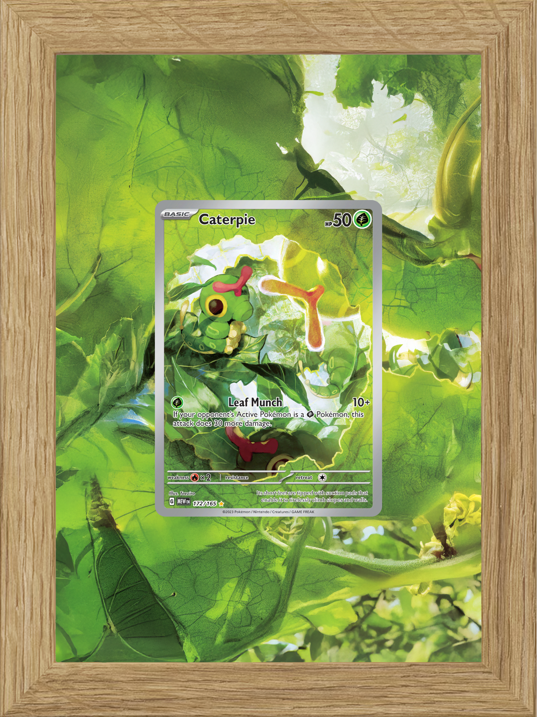 Caterpie · 151 (MEW) #172