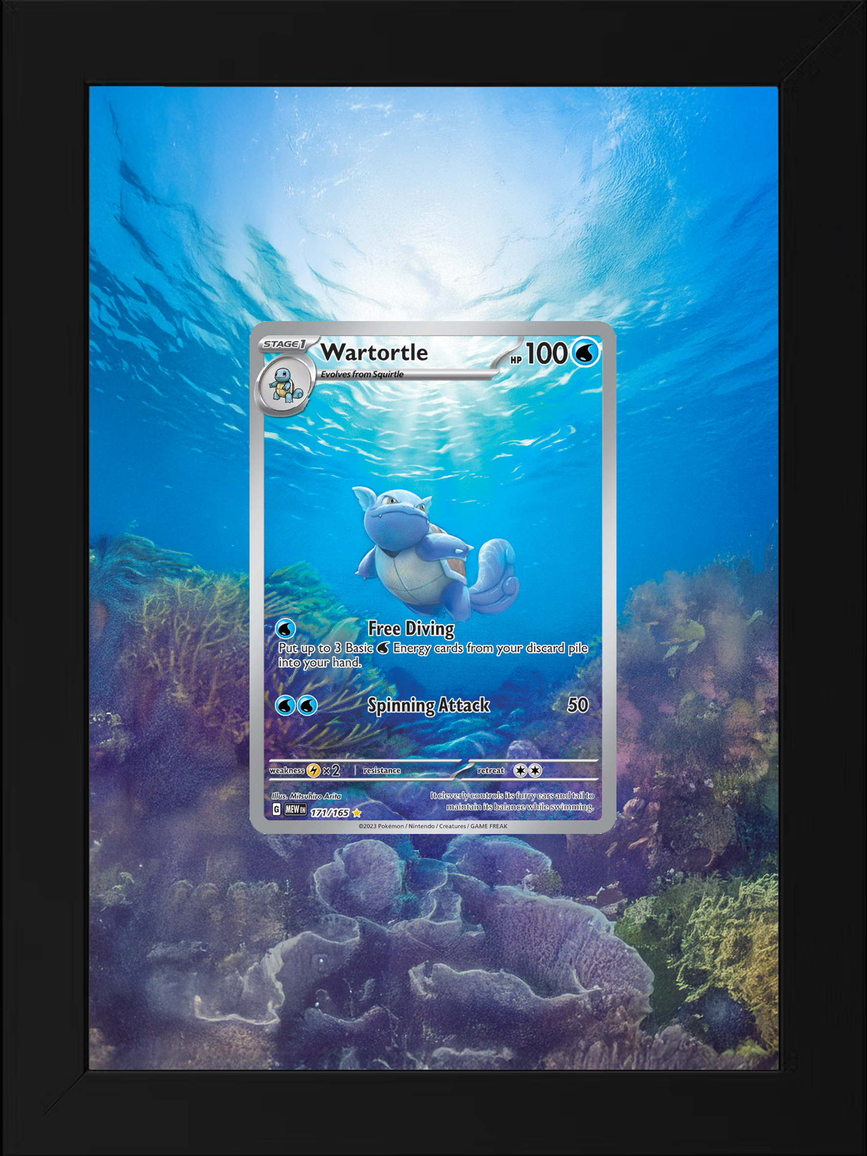 Wartortle · 151 (MEW) #171