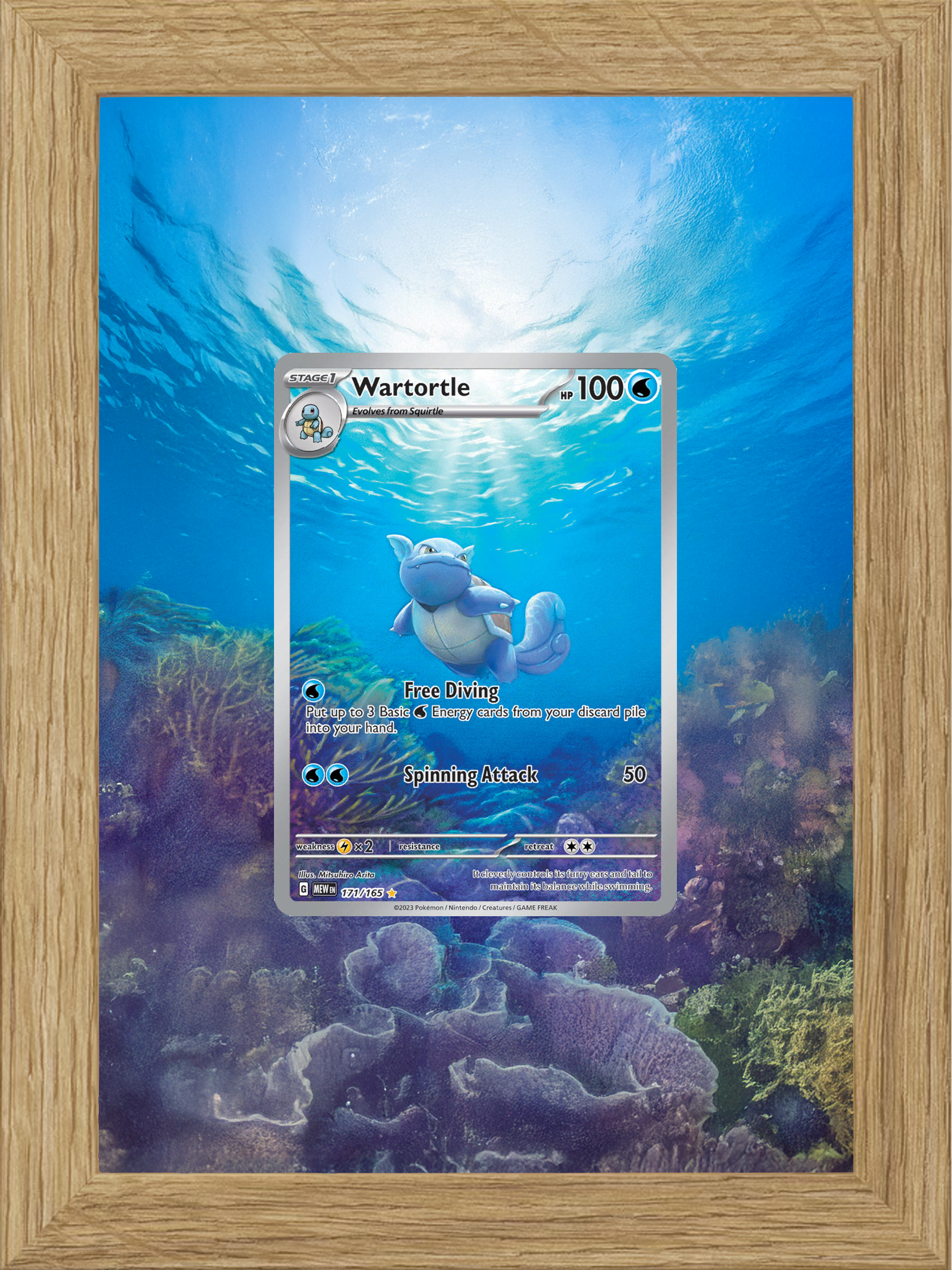 Wartortle · 151 (MEW) #171