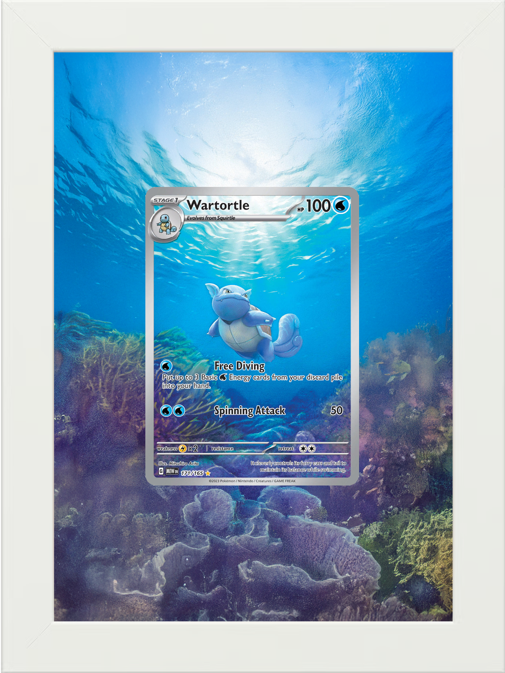 Wartortle · 151 (MEW) #171
