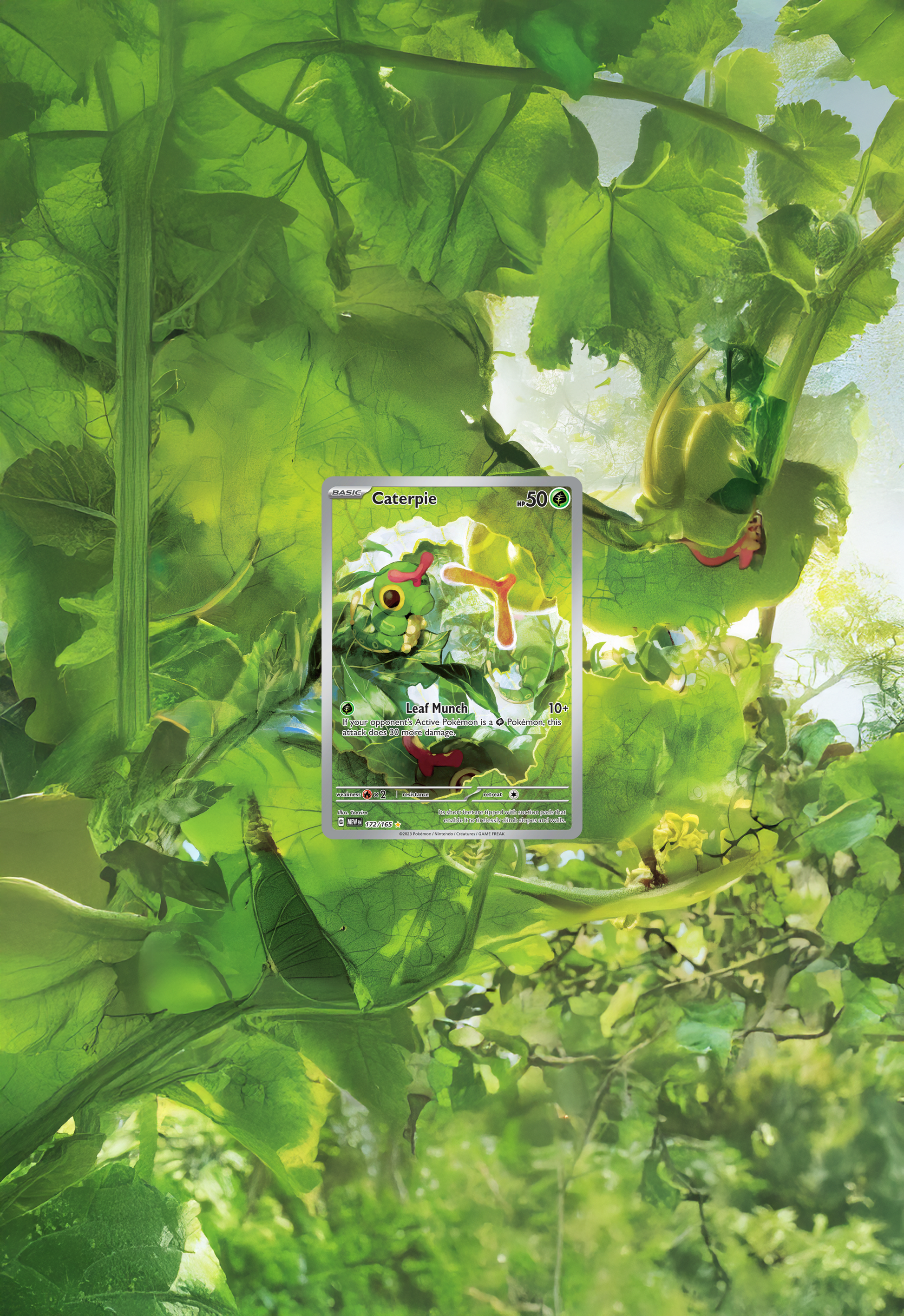 Caterpie · 151 (MEW) #172